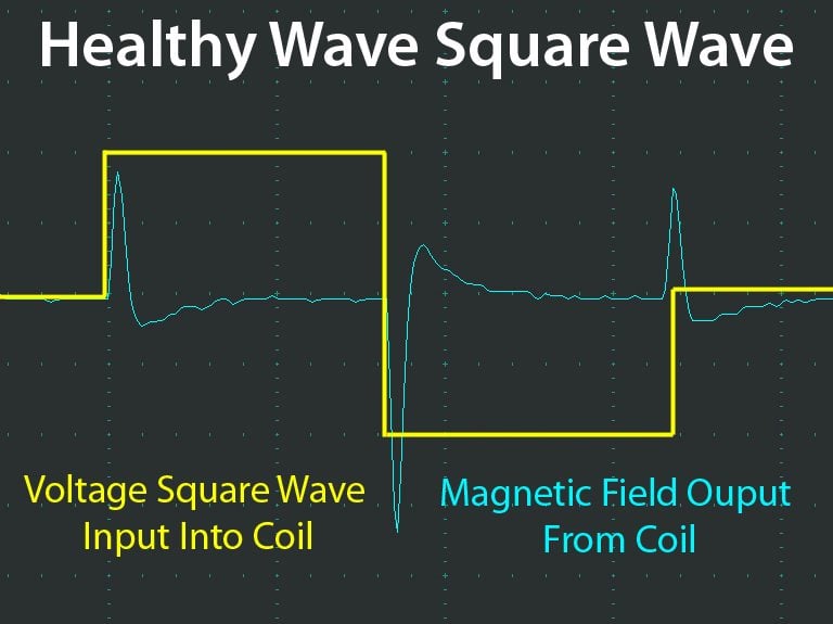 Healthy Wave Square Wave