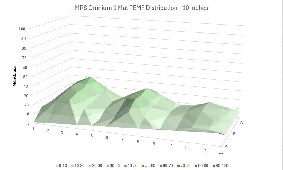 Other PEMF Mat 10x zoom intensity