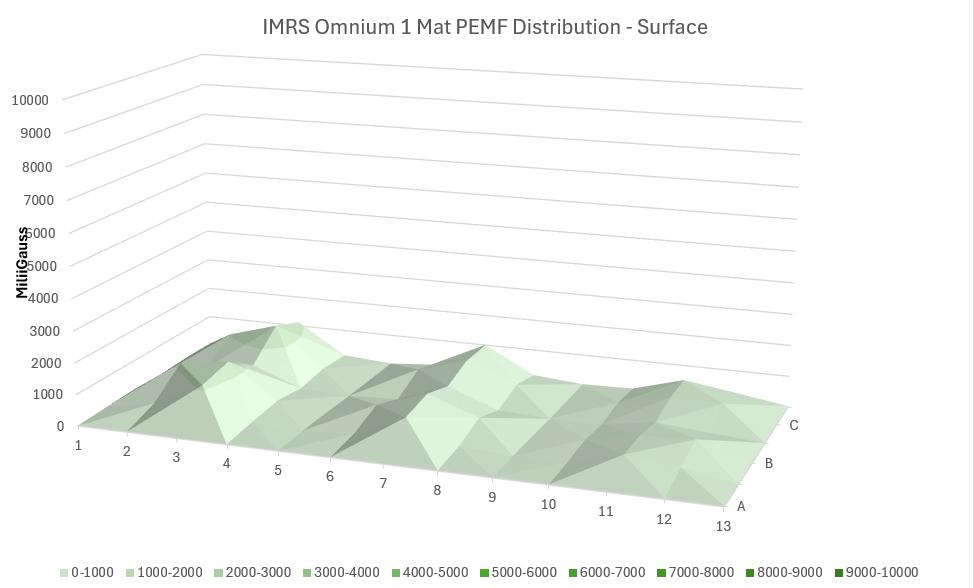 Other PEMF Mat Intensit surface